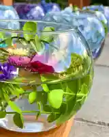 伊達神社(北海道)