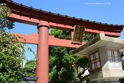 蒲田八幡神社(東京都)