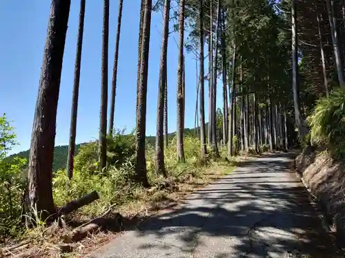 高根白山神社の周辺