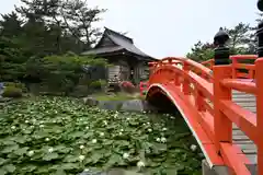 高山稲荷神社(青森県)