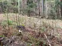 子檀嶺神社中社(長野県)