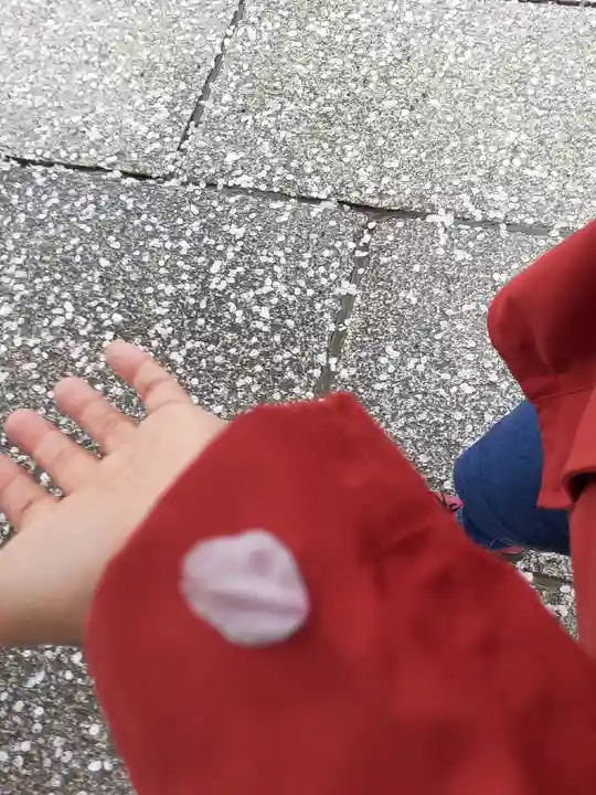 伊勢山皇大神宮(神奈川県)