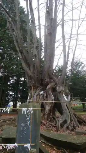 美幌神社のその他建物