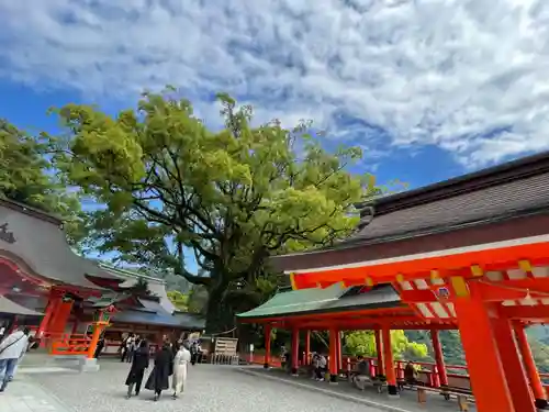 熊野那智大社の建物その他