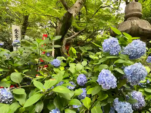愛宕神社(東京都)