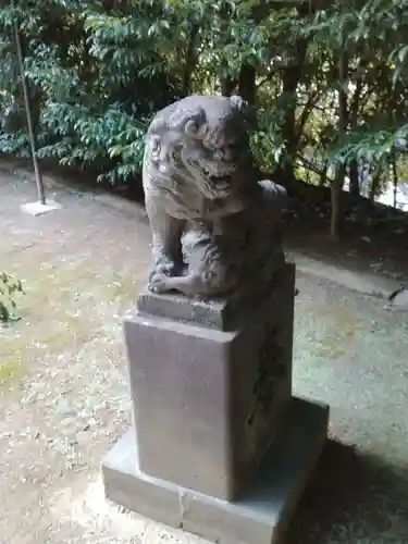 富岡八幡宮の狛犬