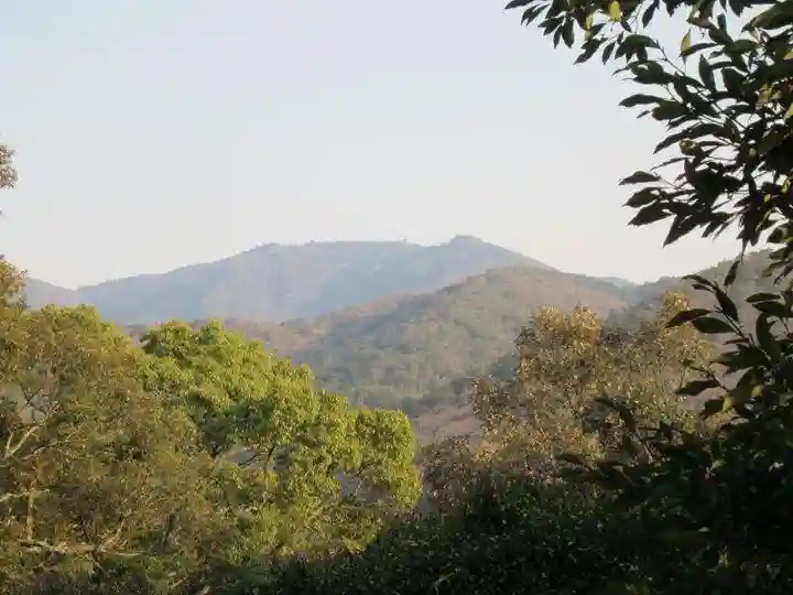 宇佐神宮(大分県)