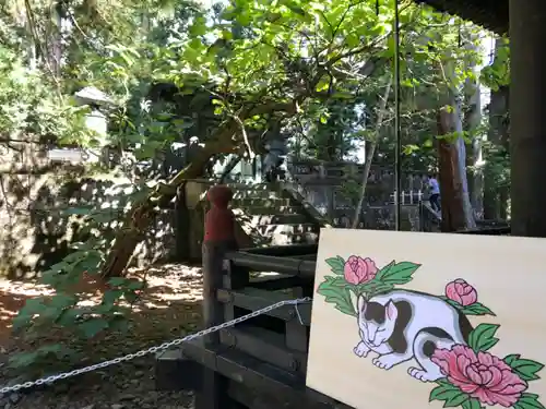 日光東照宮(栃木県)