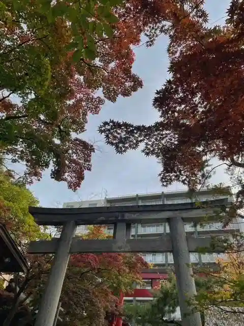 彌彦神社 (伊夜日子神社)の鳥居