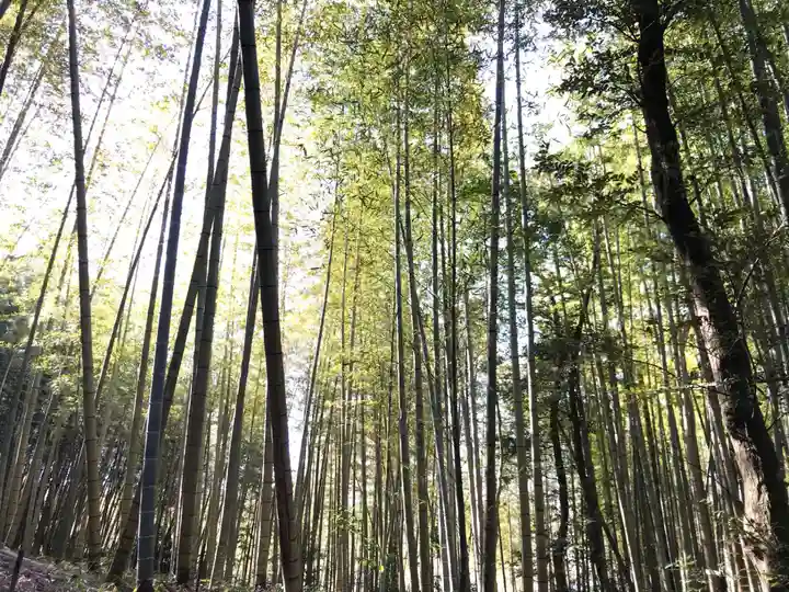 皇産靈神社の自然