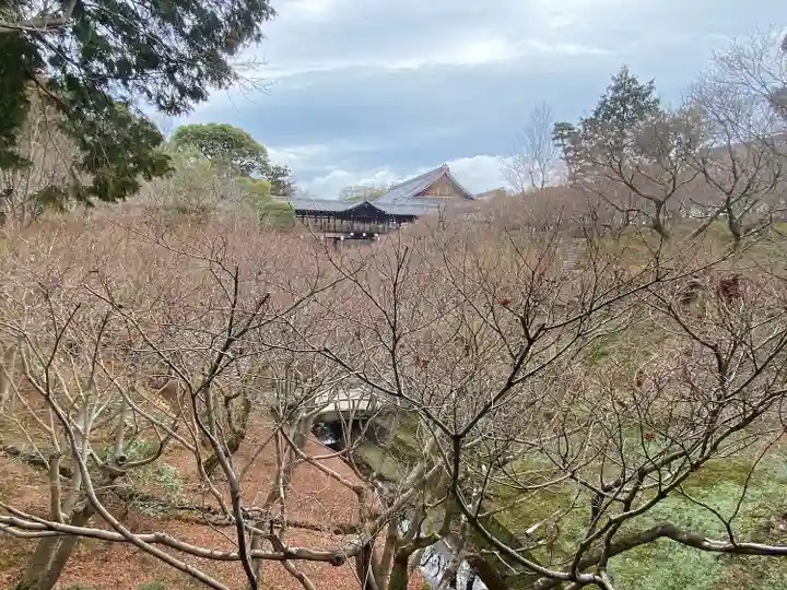 東福禅寺(東福寺)(京都府)