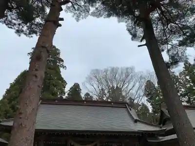 小平潟天満宮のその他建物