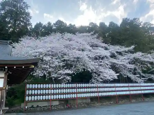 意賀美神社の{uncategorized: "未分類", other: "その他", undefined: "問題あり", building: "その他建物", grave: "お墓", sacred_gate: "鳥居", guardian: "狛犬", statue: "像", buddha: "仏像", history: "歴史", nature: "自然", garden: "庭園", animal: "動物", pagoda: "塔", temizu: "手水舎", mountain_gate: "山門・神門", sanctuary: "本殿・本堂", subordinate: "末社・摂社", art: "芸術", scenery: "景色", jizo: "地蔵", ema: "絵馬", goshuin: "御朱印", omikuji: "おみくじ", items: "授与品その他", amulet: "お守り", goshuincho: "御朱印帳", eats: "食事", festival: "お祭り", votive_dance: "神楽", shichigosan: "七五三参", wedding: "結婚式", experience: "体験その他", initially: "初詣", around: "周辺", anti_infection: "感染症対策"}