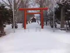 豊栄神社の鳥居