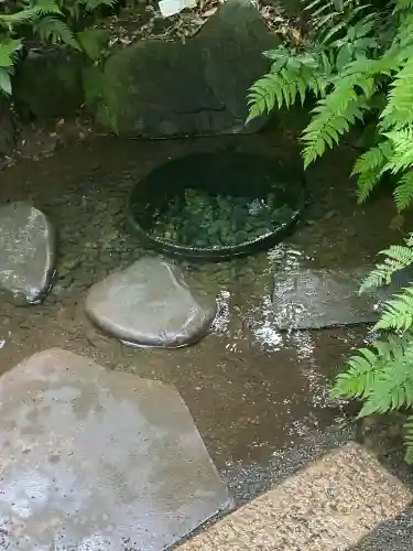 明治神宮(東京都)