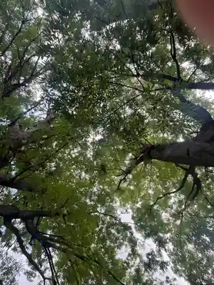 前川神社(埼玉県)
