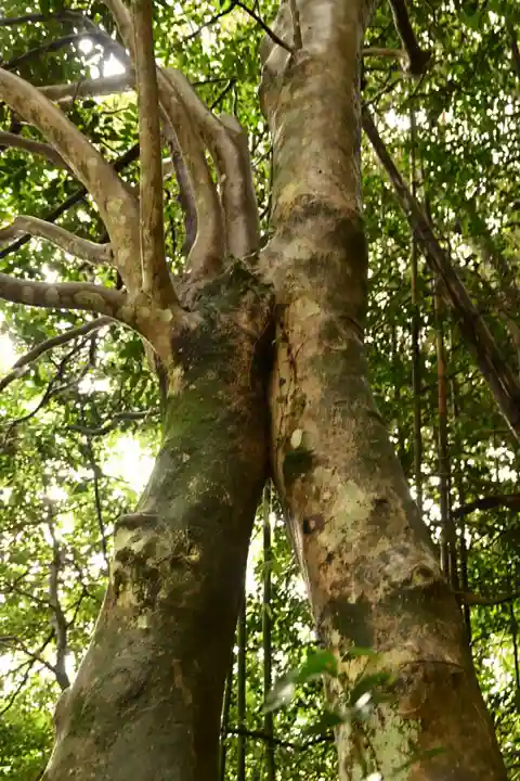 八重垣神社(島根県)