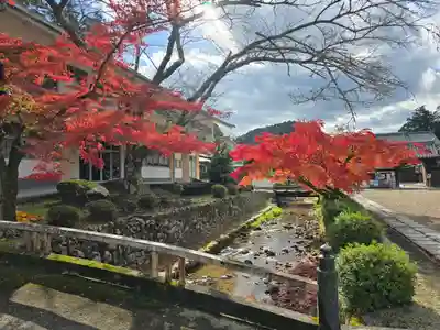 金剛寺(大阪府)