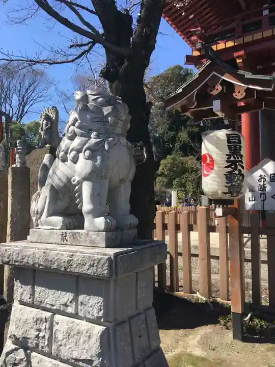 瀧泉寺(目黒不動尊)の狛犬