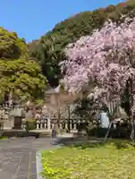 橿森神社の自然