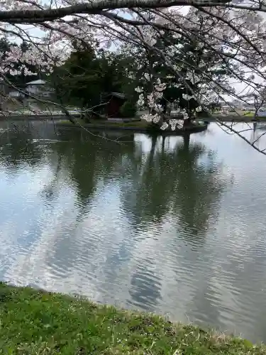 厳島神社(市塙)の周辺