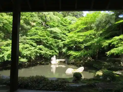 蓮華寺（洛北蓮華寺）の庭園