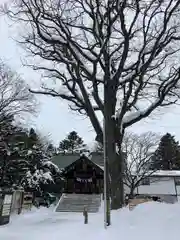 厚別神社(北海道)