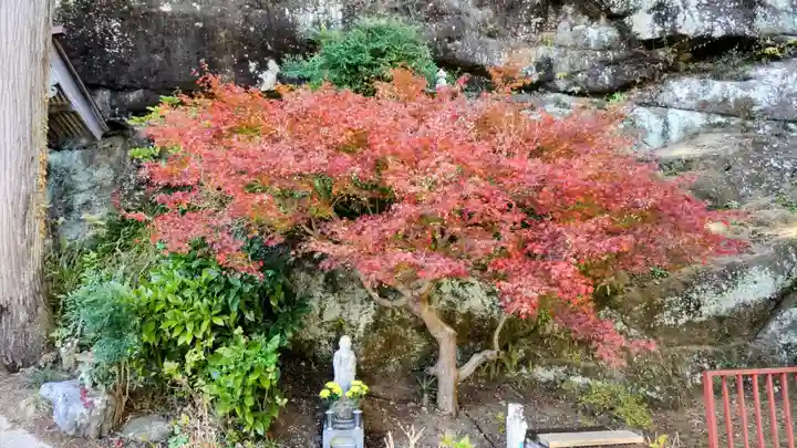常泉寺(埼玉県)