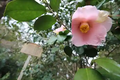 八剣宮（熱田神宮別宮）(愛知県)