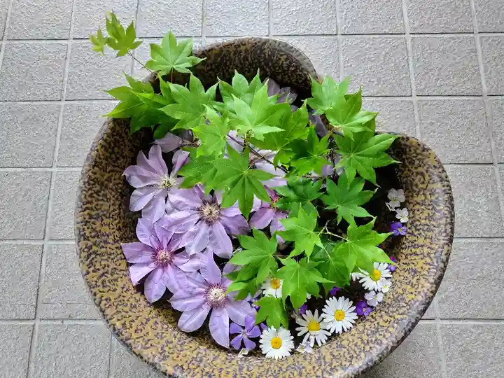 美瑛神社の手水舎