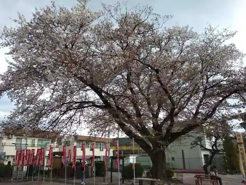 覚円坊(覺圓坊）(東京都)