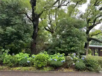 千鳥ヶ淵戦没者墓苑(東京都)