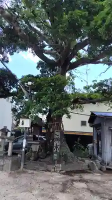 櫟谷七野神社(京都府)