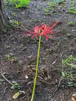 伏木香取神社(茨城県)