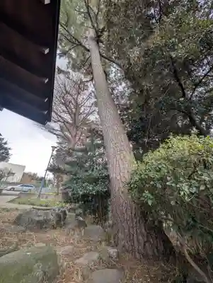 出世稲荷神社(東京都)