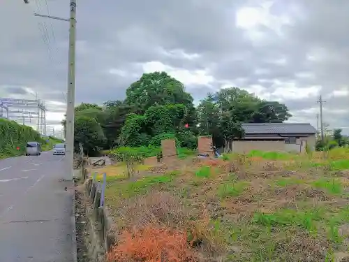 淺井神社（浅井町）の自然