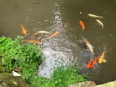 正法寺(滋賀県)