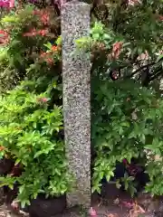 朝宮神社の建物その他