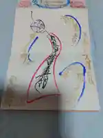 日蓮宗 総本山 塔頭 定林坊(じょうりんぼう)の御朱印