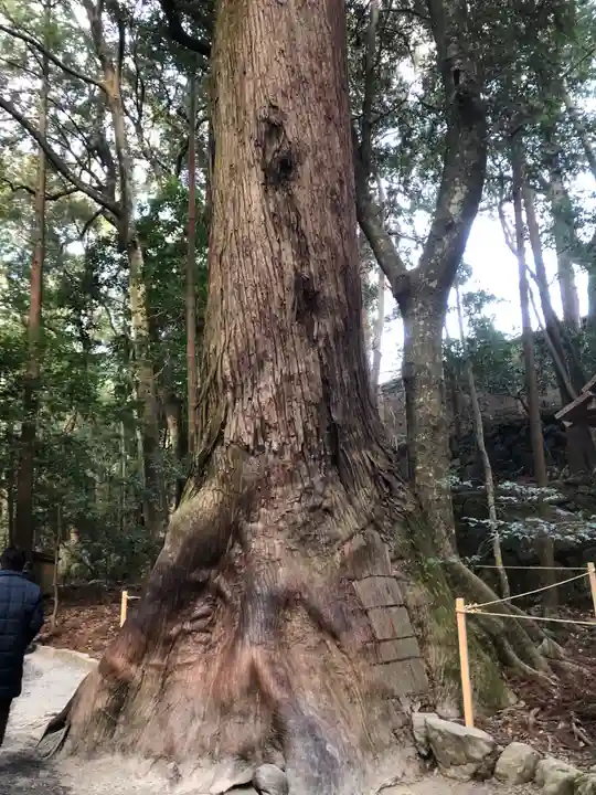 伊勢神宮内宮(皇大神宮)の自然
