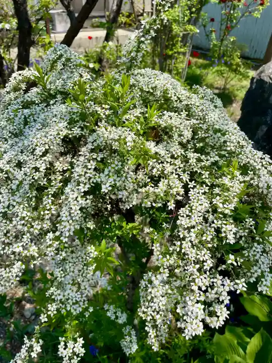 蓮華寺(福島県)