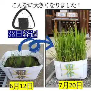 七重浜海津見神社(北海道)(2023年07月20日(木) 09時01分39秒投稿)