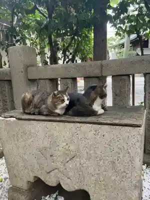 小野照崎神社(東京都)