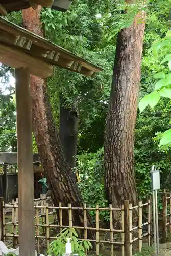 祇園寺(東京都)