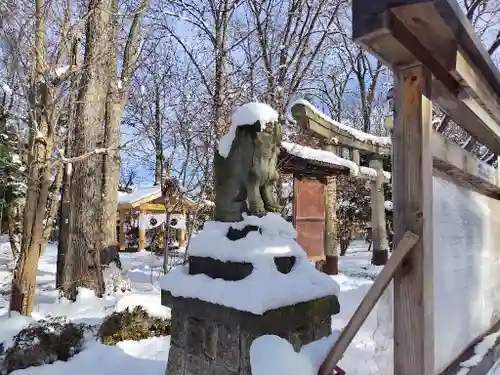 旭川神社の狛犬