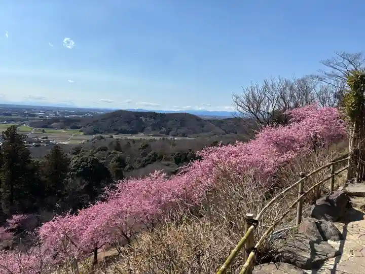 楽法寺(雨引観音)(茨城県)