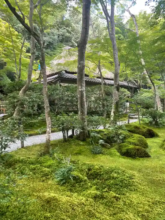 祇王寺(京都府)