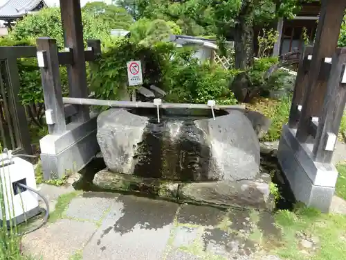 妙蓮寺の手水舎