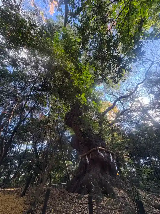 熱田神宮(愛知県)
