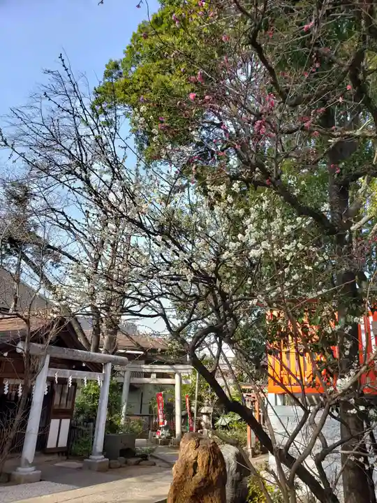 馬橋稲荷神社(東京都)